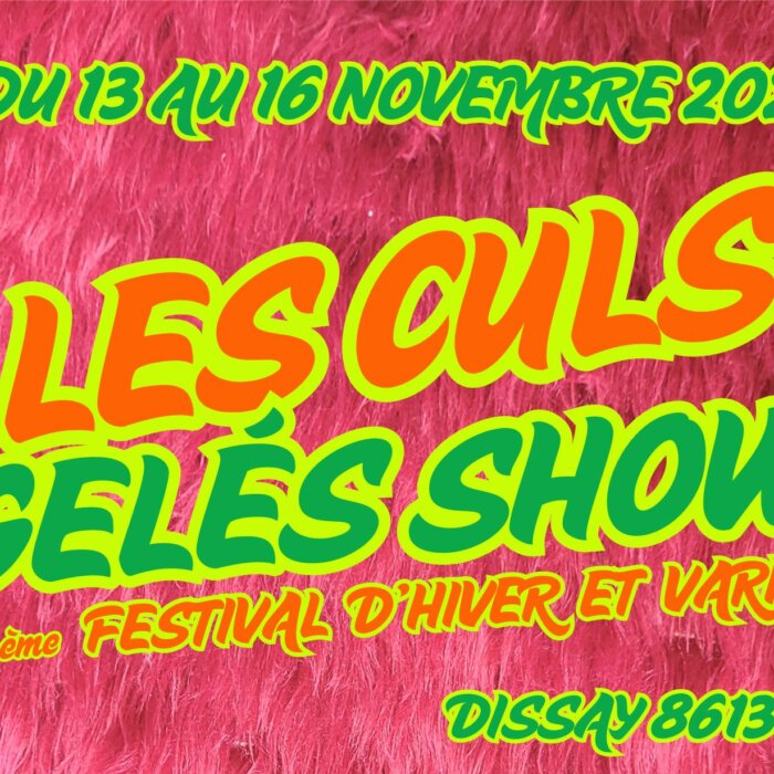 Affiche des Culs Gelés Show 2025