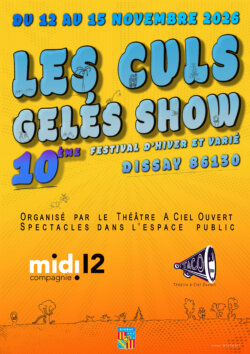 Affiche les Culs Gelés Show - 10ème édition