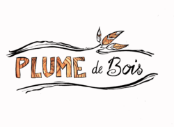 Plume de bois